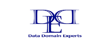 Data Domain Experts Logo